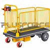 Electric Cart